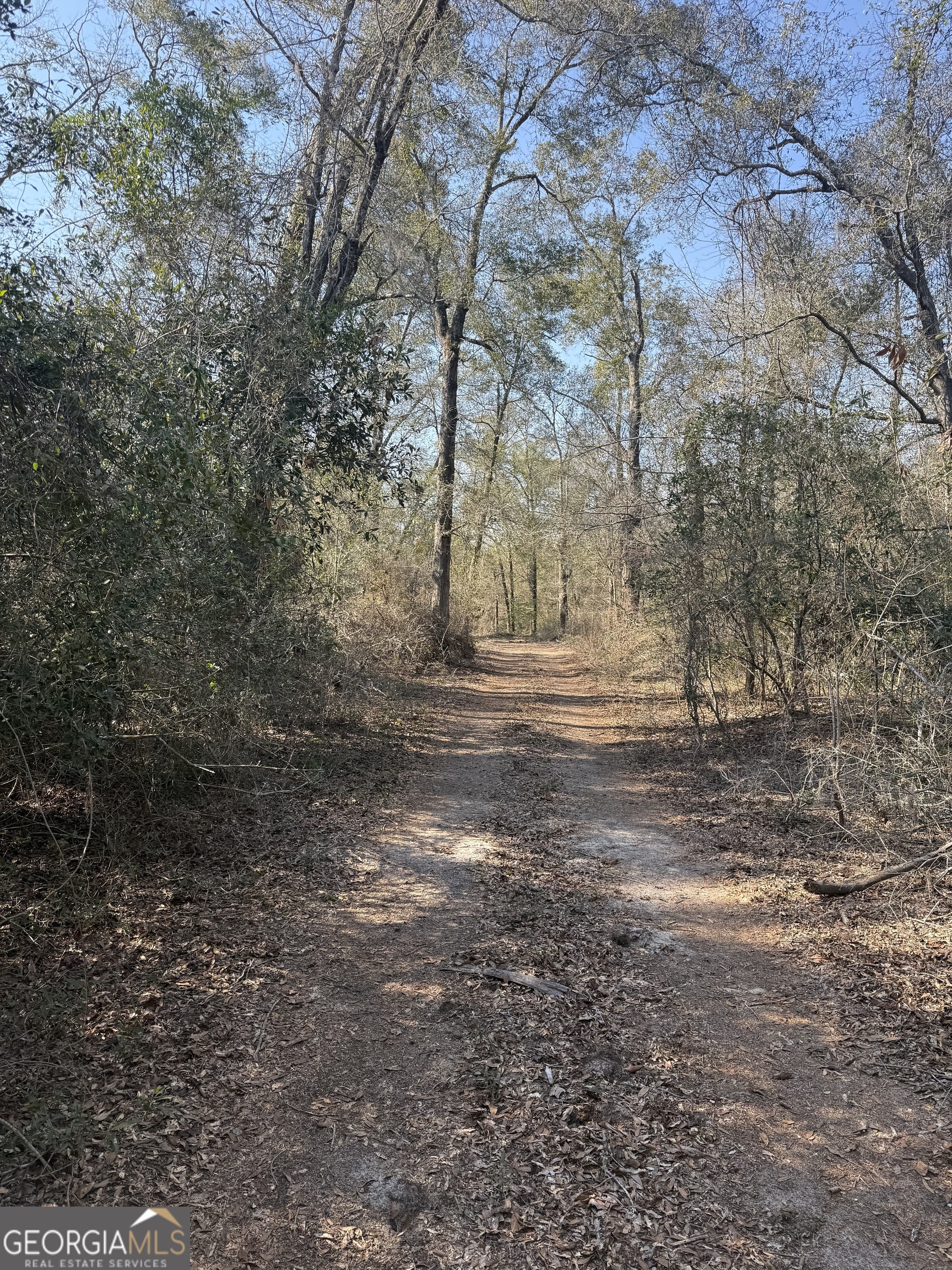 140 Keas Church Circle Adrian, GA 31002 - Photo 8 of 26 a view of yard with trees