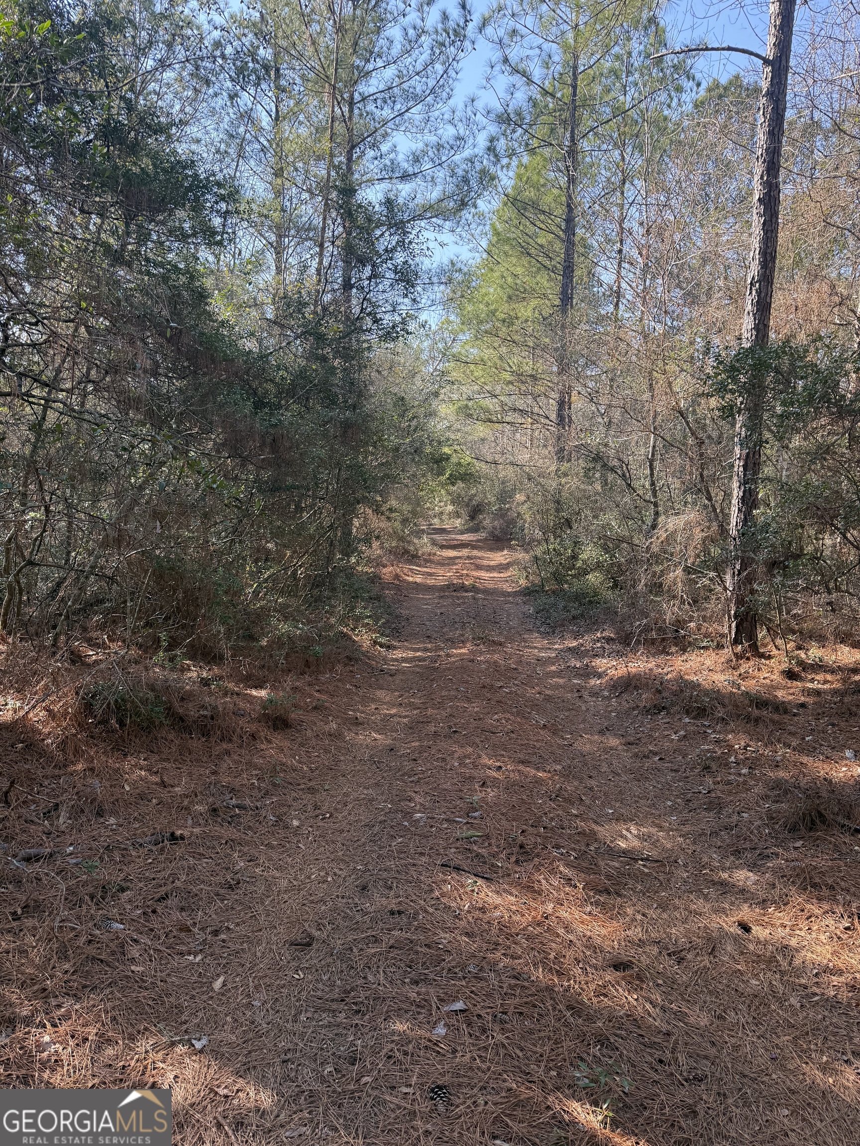 140 Keas Church Circle Adrian, GA 31002 - Photo 9 of 26 a view of a yard with a tree