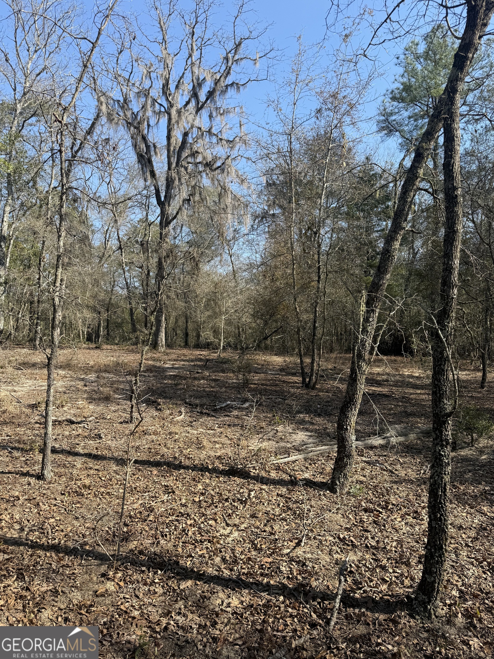140 Keas Church Circle Adrian, GA 31002 - Photo 10 of 26 a backyard of a house with lots of green space