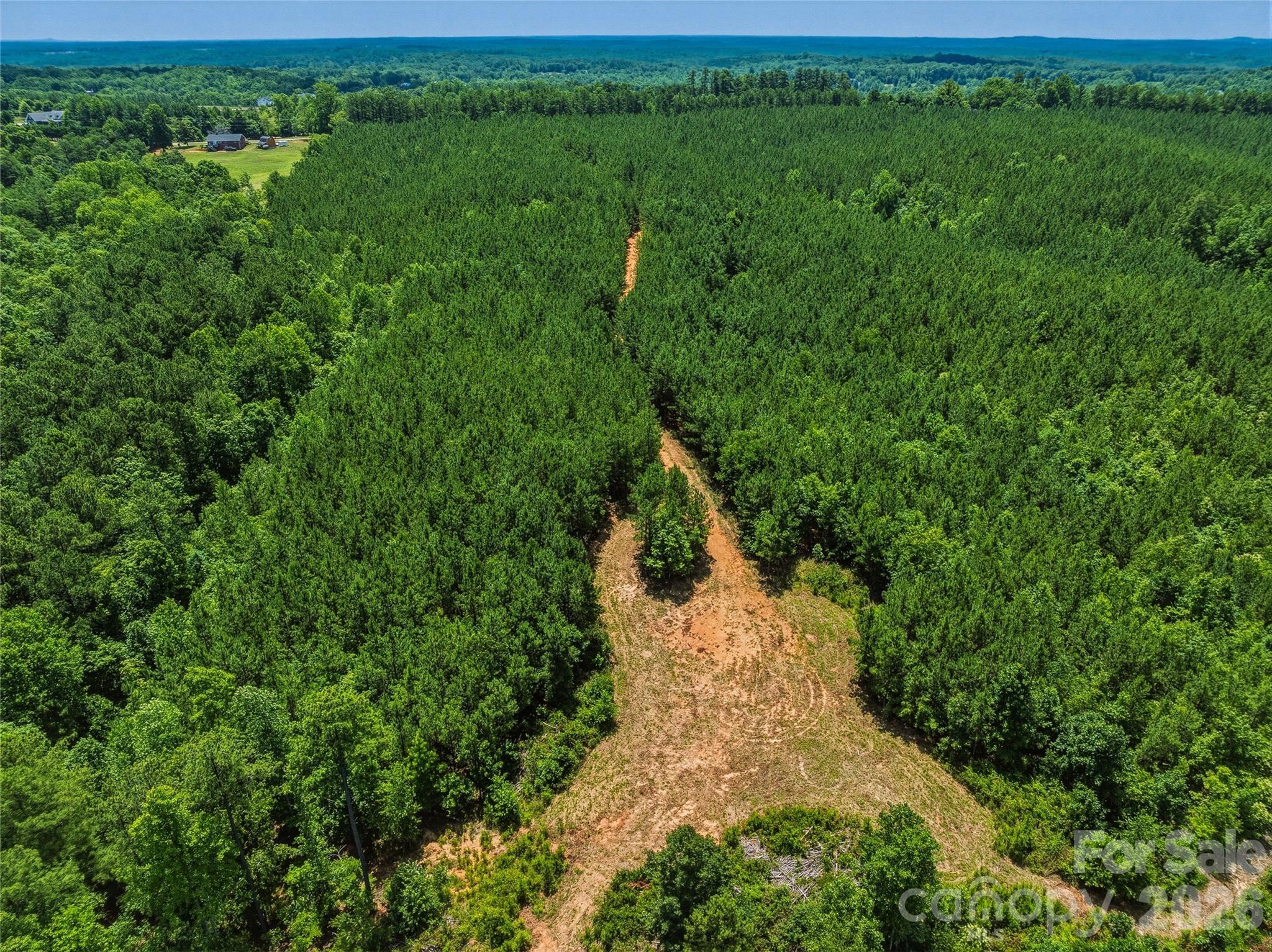 6783 Peniel Road Tryon, NC 28782 - Photo 17 of 36