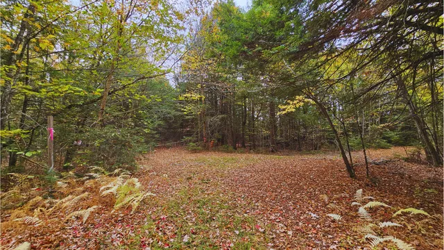 $28,000 | 9-007 Lilly Drive, Newport, ME 04953