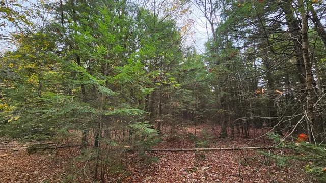 $28,000 | 9-007 Lilly Drive, Newport, ME 04953