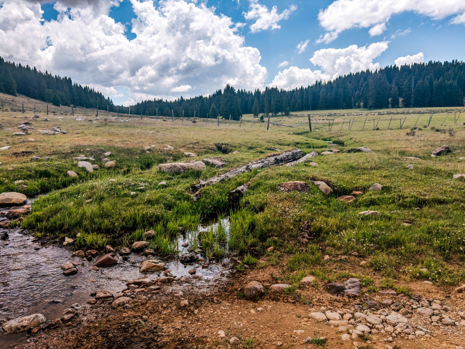 0 Buckman Road Chama, NM 87520 - Photo 26 of 27 Gallery Image 26