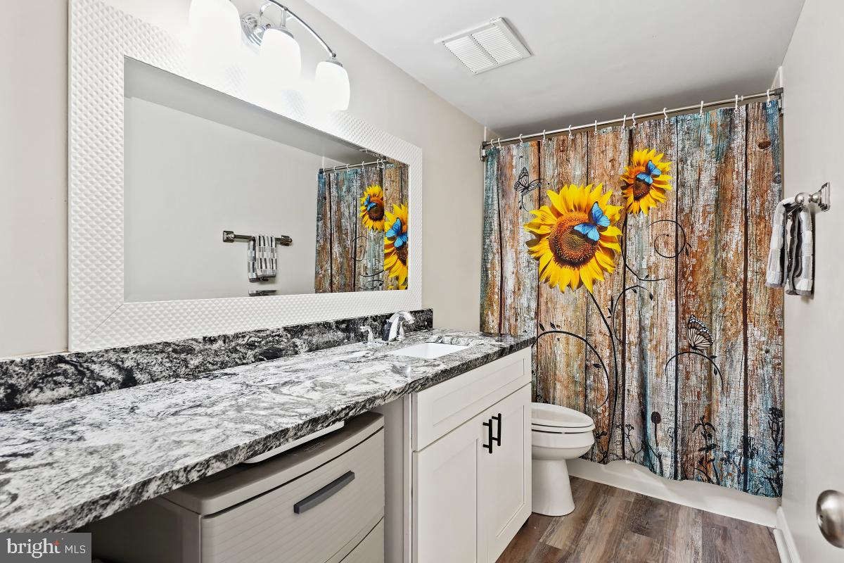 794 Quince Orchard Boulevard, Unit T2 Gaithersburg, MD 20878 - Photo 13 of 30 a bathroom with a granite countertop sink and a large mirror