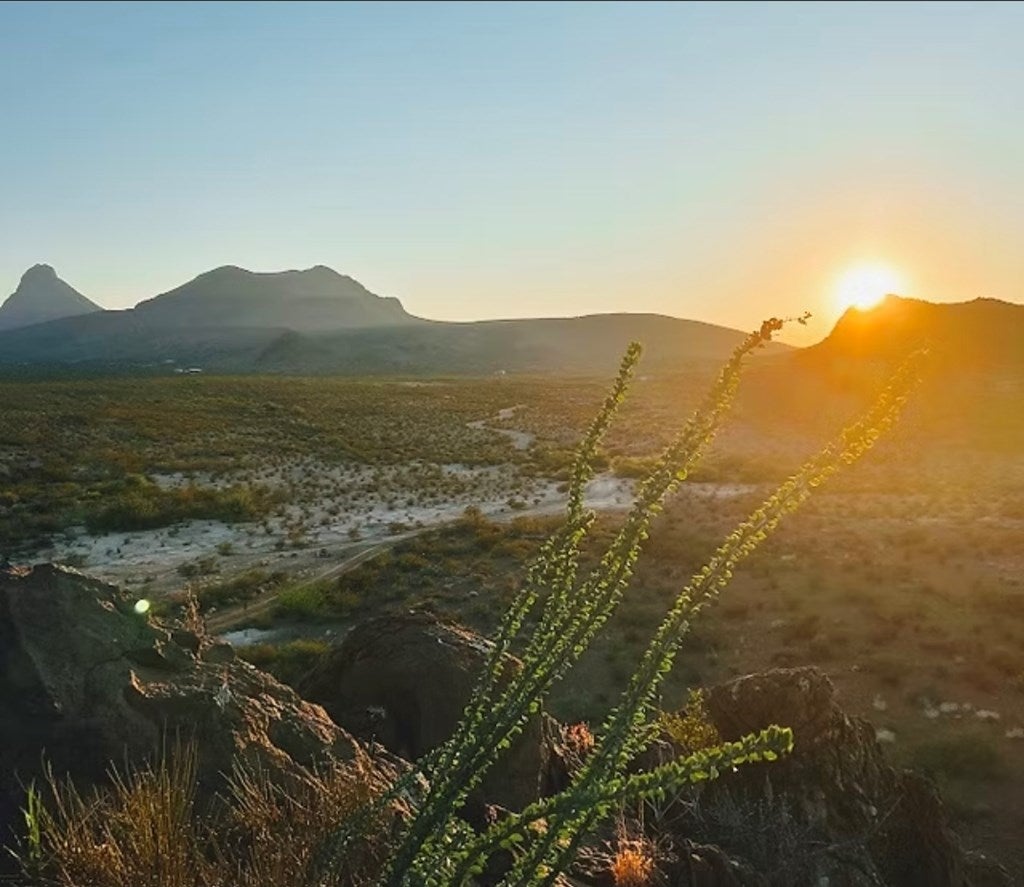 501 Crows Peak Road Alpine, TX 79830 - Photo 31 of 64 Gallery Image 31