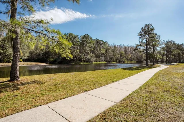 $965,000 | 12514 Eagles Entry Drive, Odessa, FL 33556