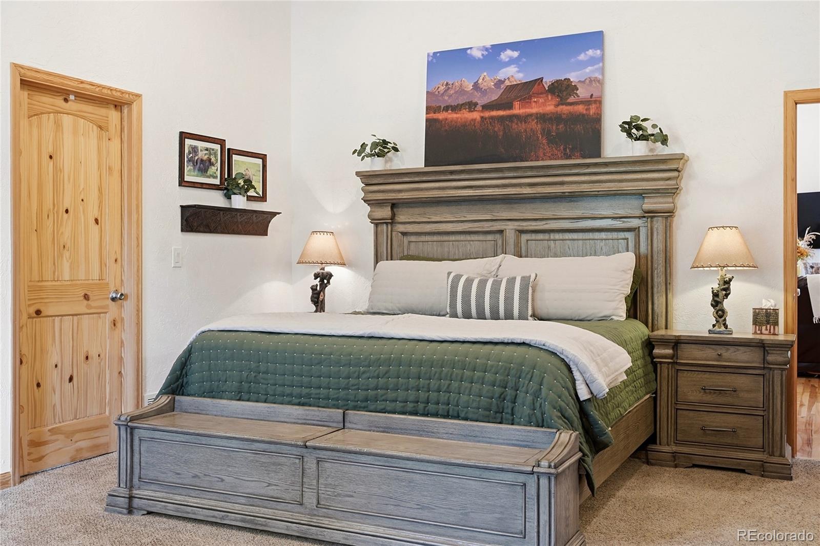 705 Gold Flake Terrace Bailey, CO 80421 - Photo 19 of 48