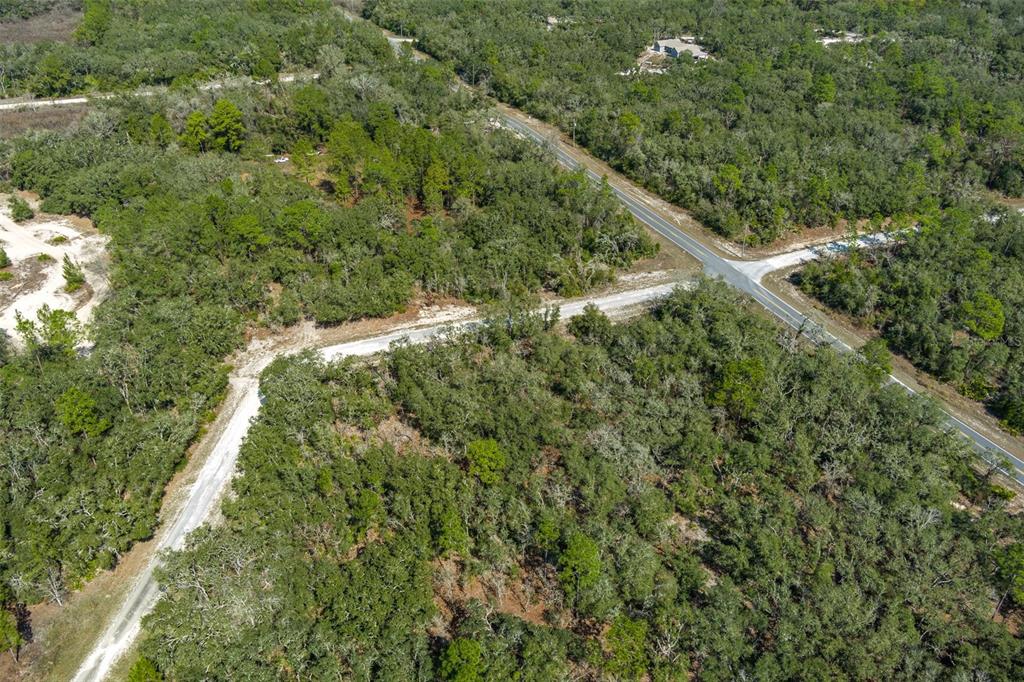 0 Short Stone Drive Webster, FL 33597 - Photo 13 of 17 a view of a forest with a tree