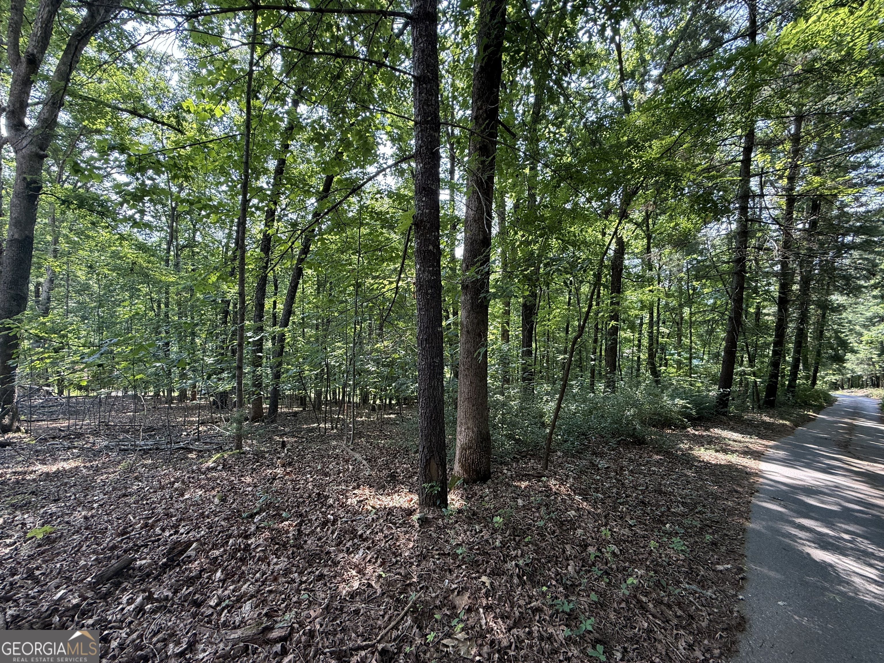 248 Ledford Chapel Road Hayesville, NC 28904 - Photo 21 of 24