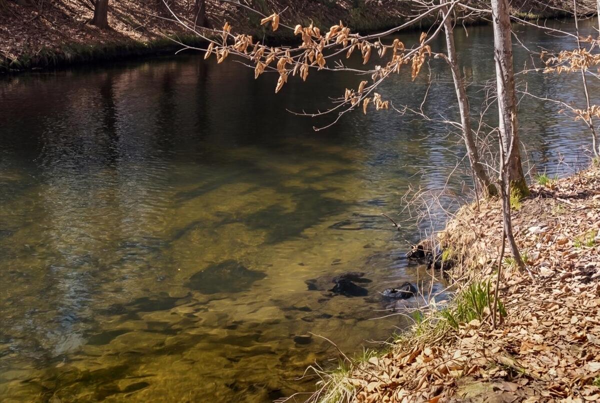 471 Bisbee Town Road Waterford, ME 04088 - Photo 13 of 79 13-exterior_creek-5