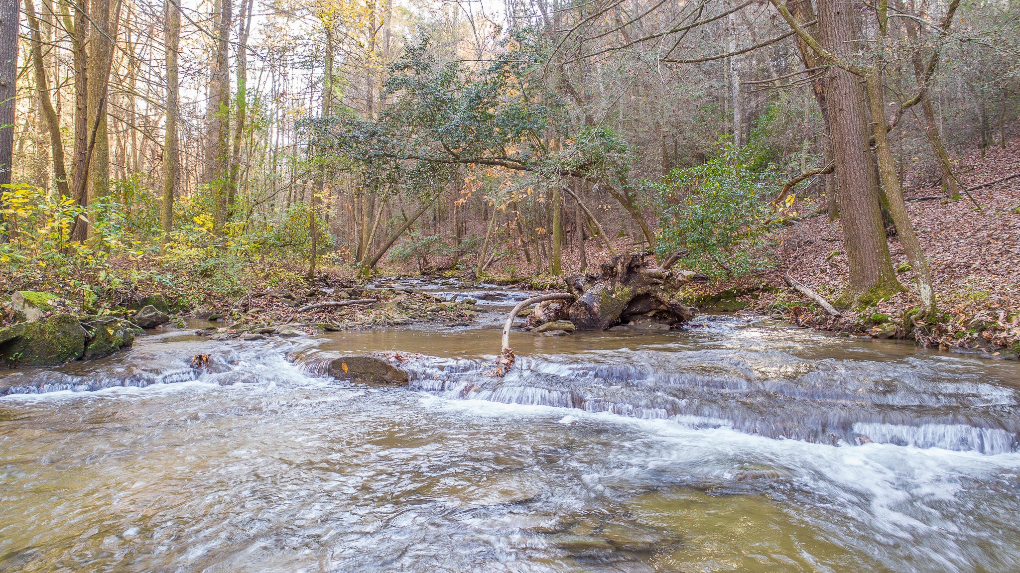 6401 Sawyer Road Signal Mountain, TN 37377 - Photo 2 of 60 Gallery Image 2
