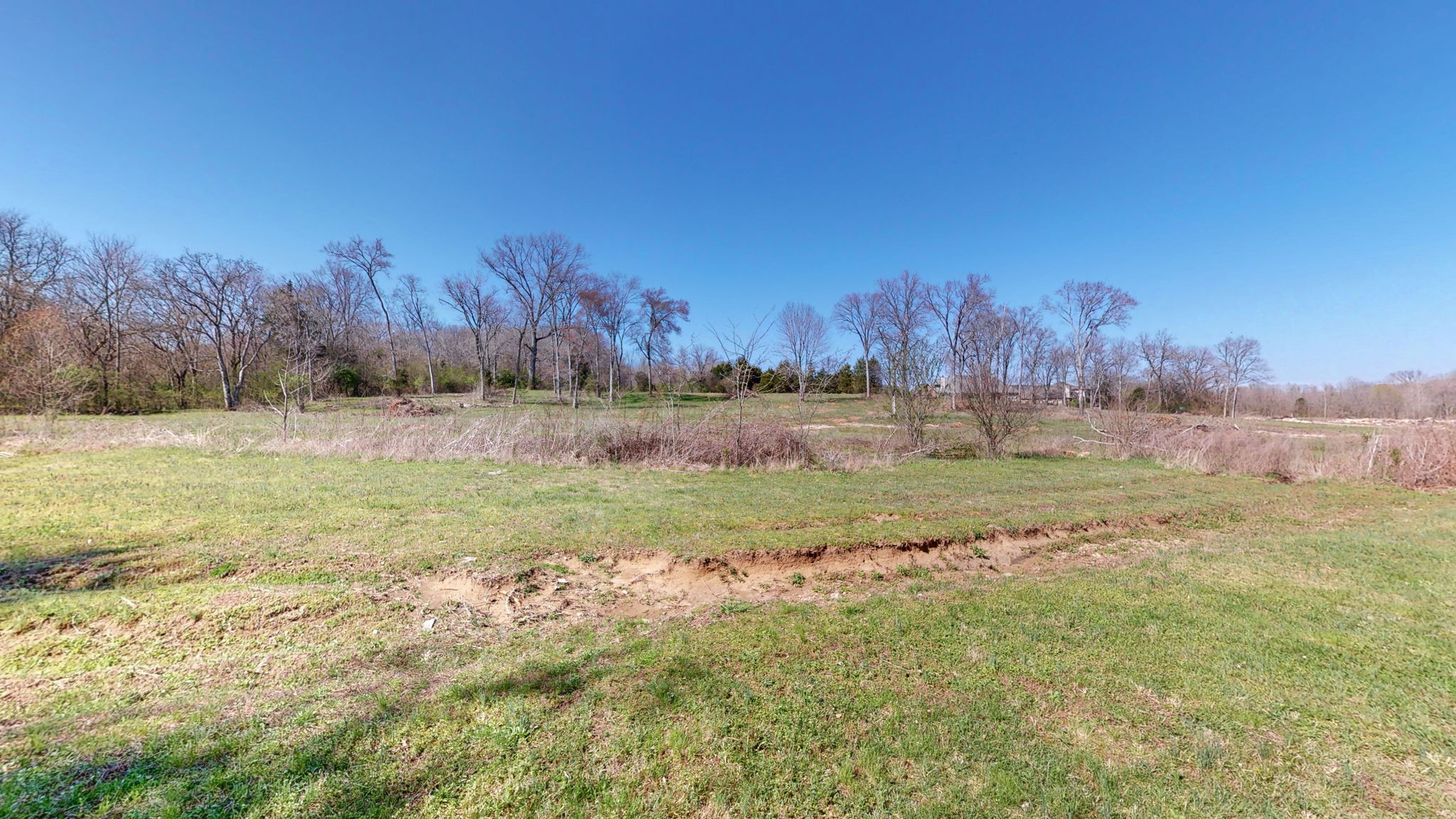 262 Ridgewater Way Mount Juliet, TN 37122 - Photo 52 of 58 a view of yard with trees in background