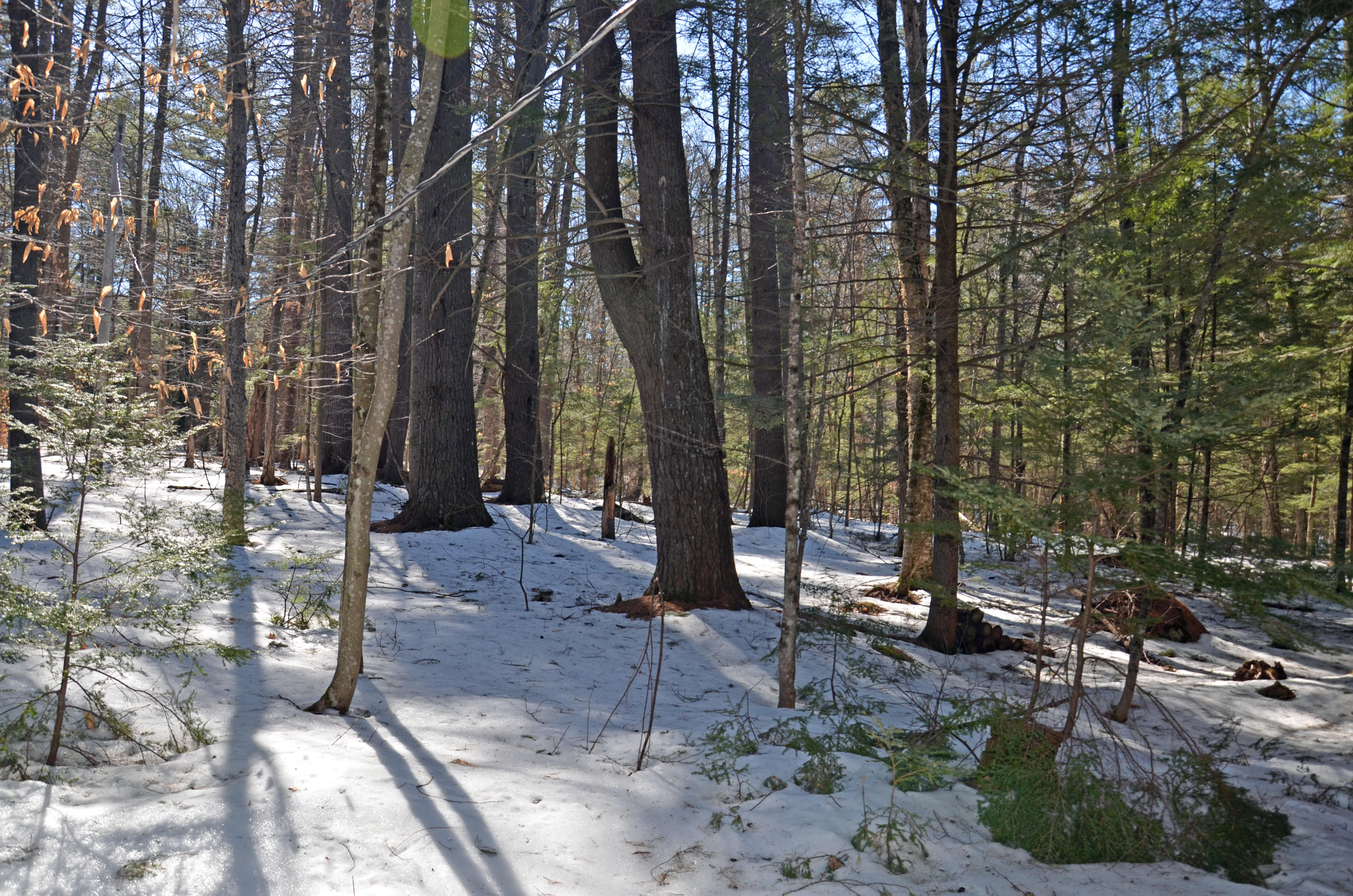 153 Temple Hill Road Harrison, ME 04040 - Photo 28 of 33 DSC_9808_edited-1