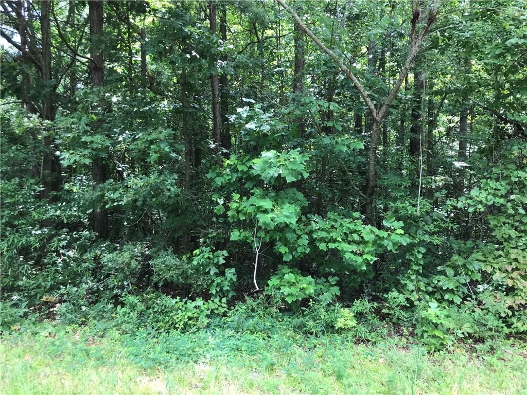 3286 Joe Parker Road Gainesville, GA 30507 - Photo 1 of 1 Gallery Image 1