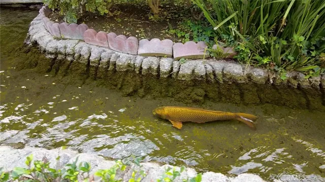 a view of a swimming pool with a yard