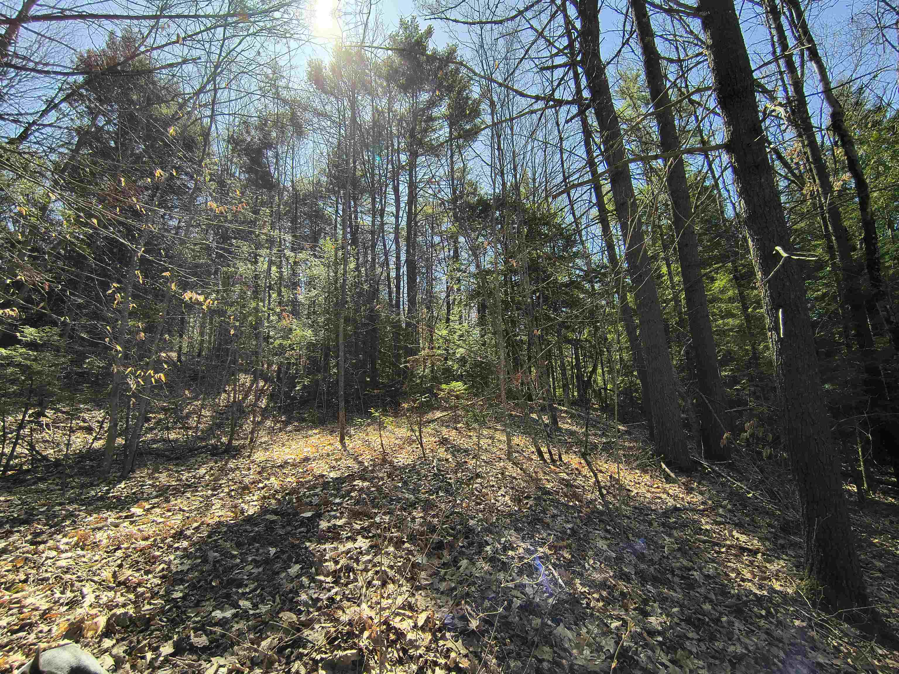 0 Littlefield Road Danbury, NH 03230 - Photo 12 of 15