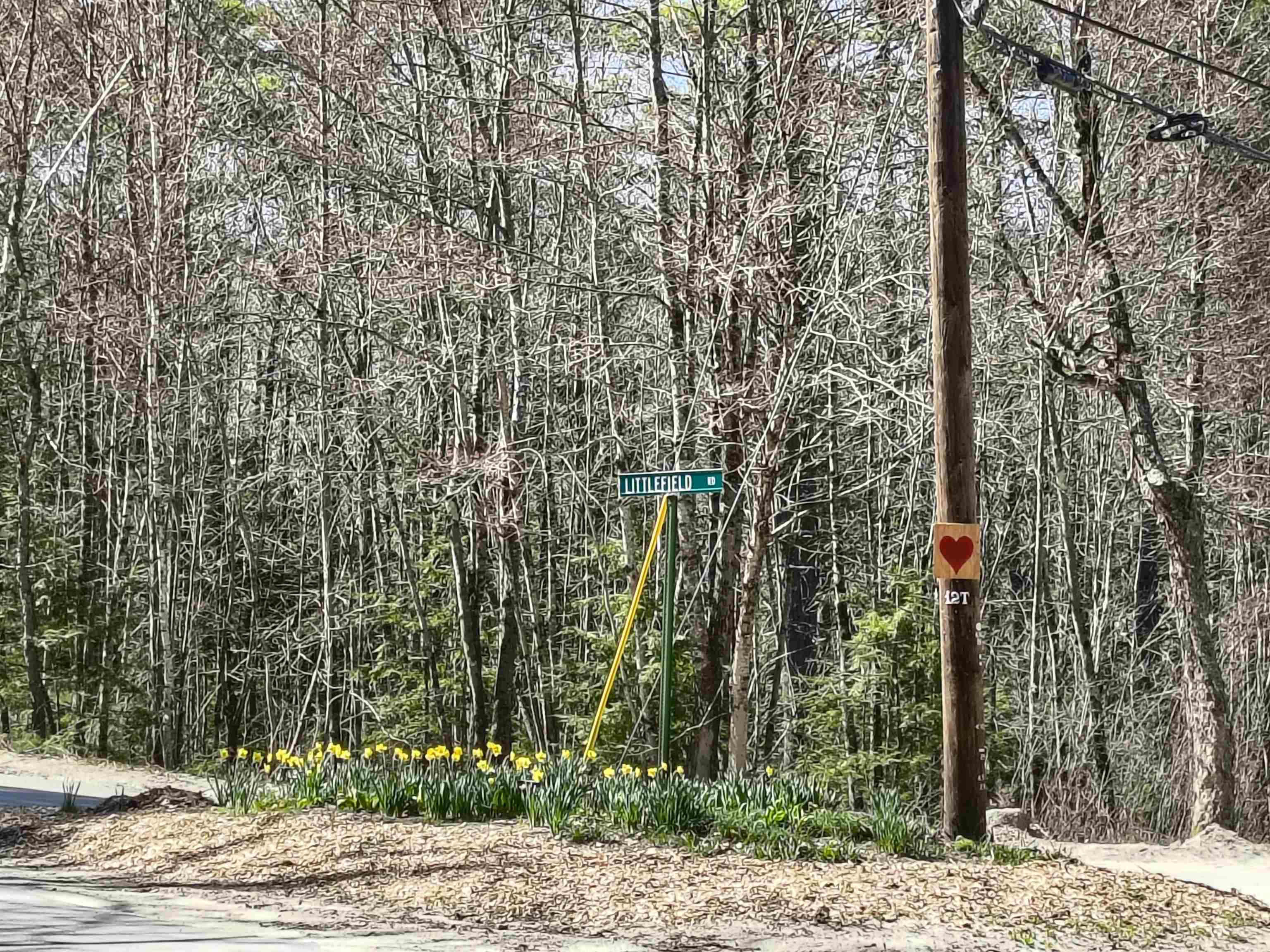 0 Littlefield Road Danbury, NH 03230 - Photo 13 of 15