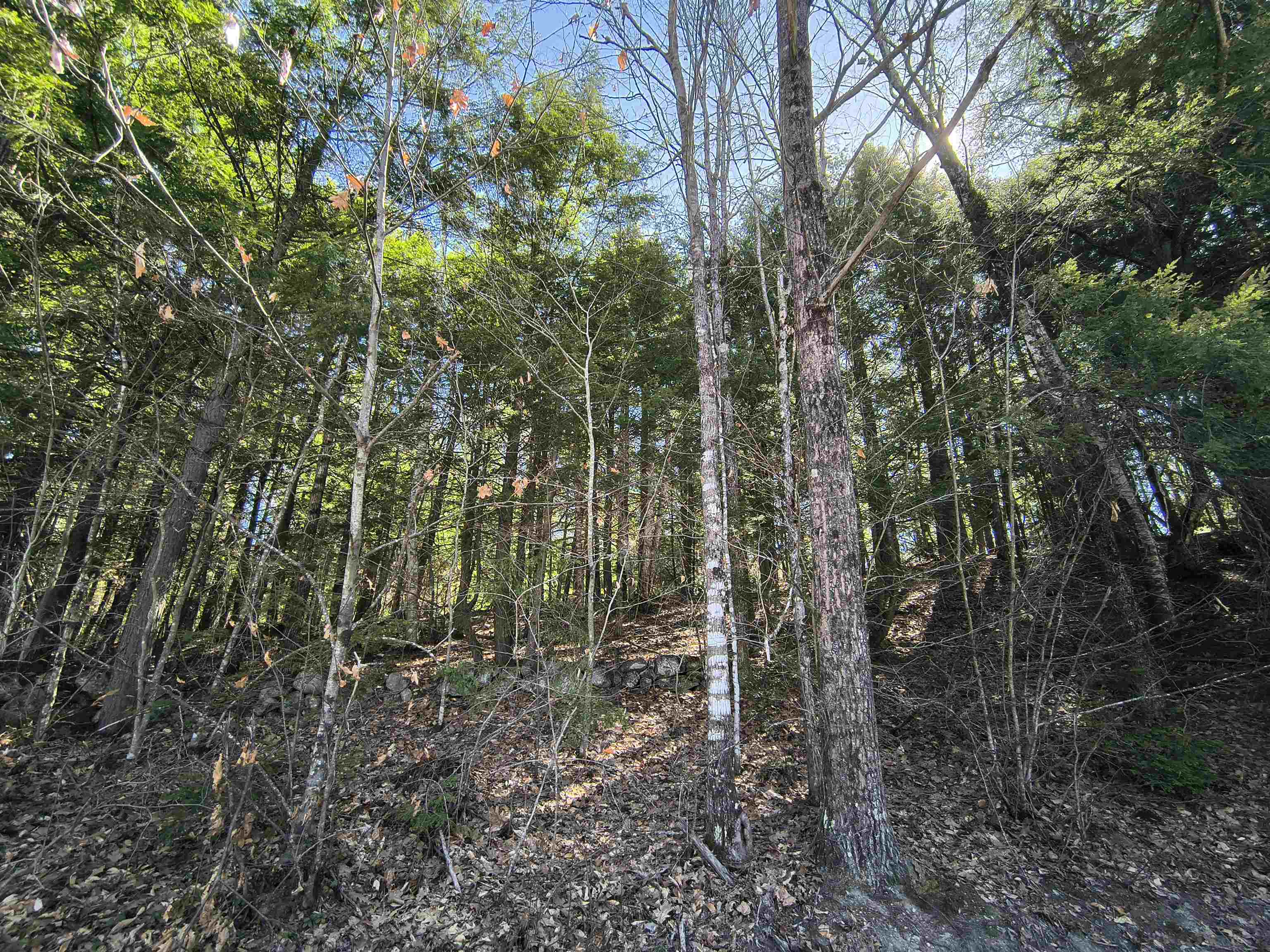 0 Littlefield Road Danbury, NH 03230 - Photo 14 of 15