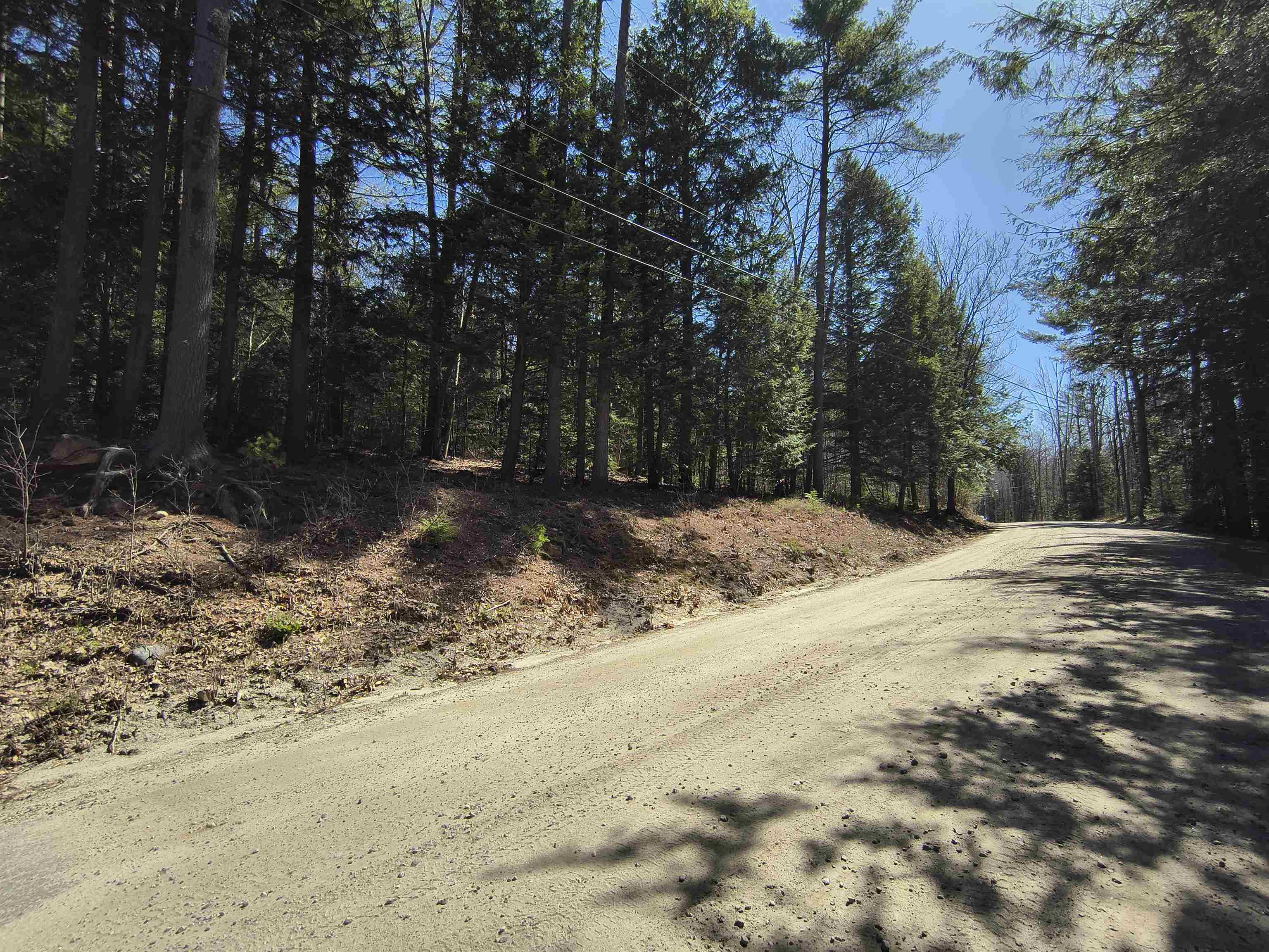 0 Littlefield Road Danbury, NH 03230 - Photo 15 of 15