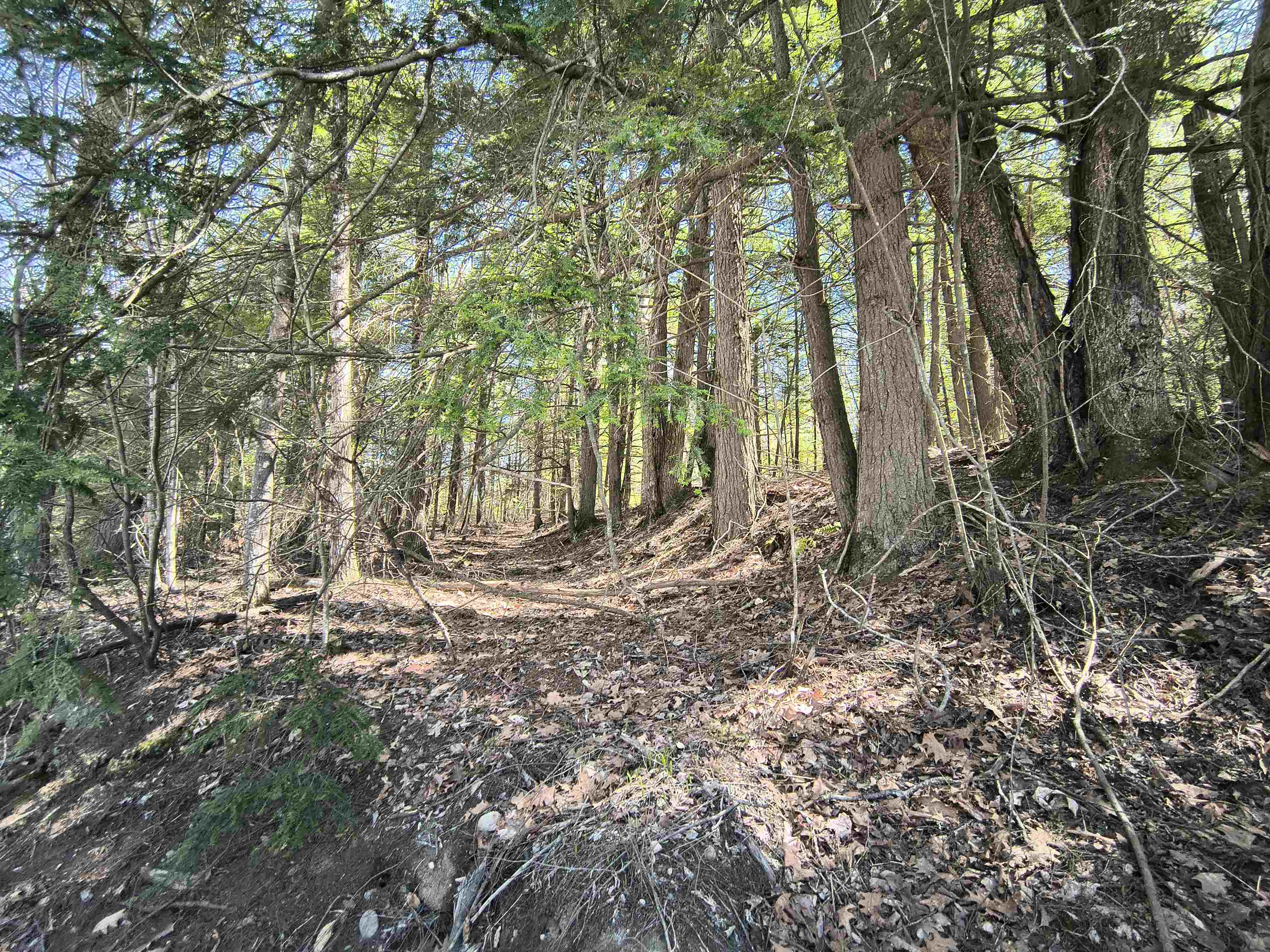 0 Littlefield Road Danbury, NH 03230 - Photo 2 of 15