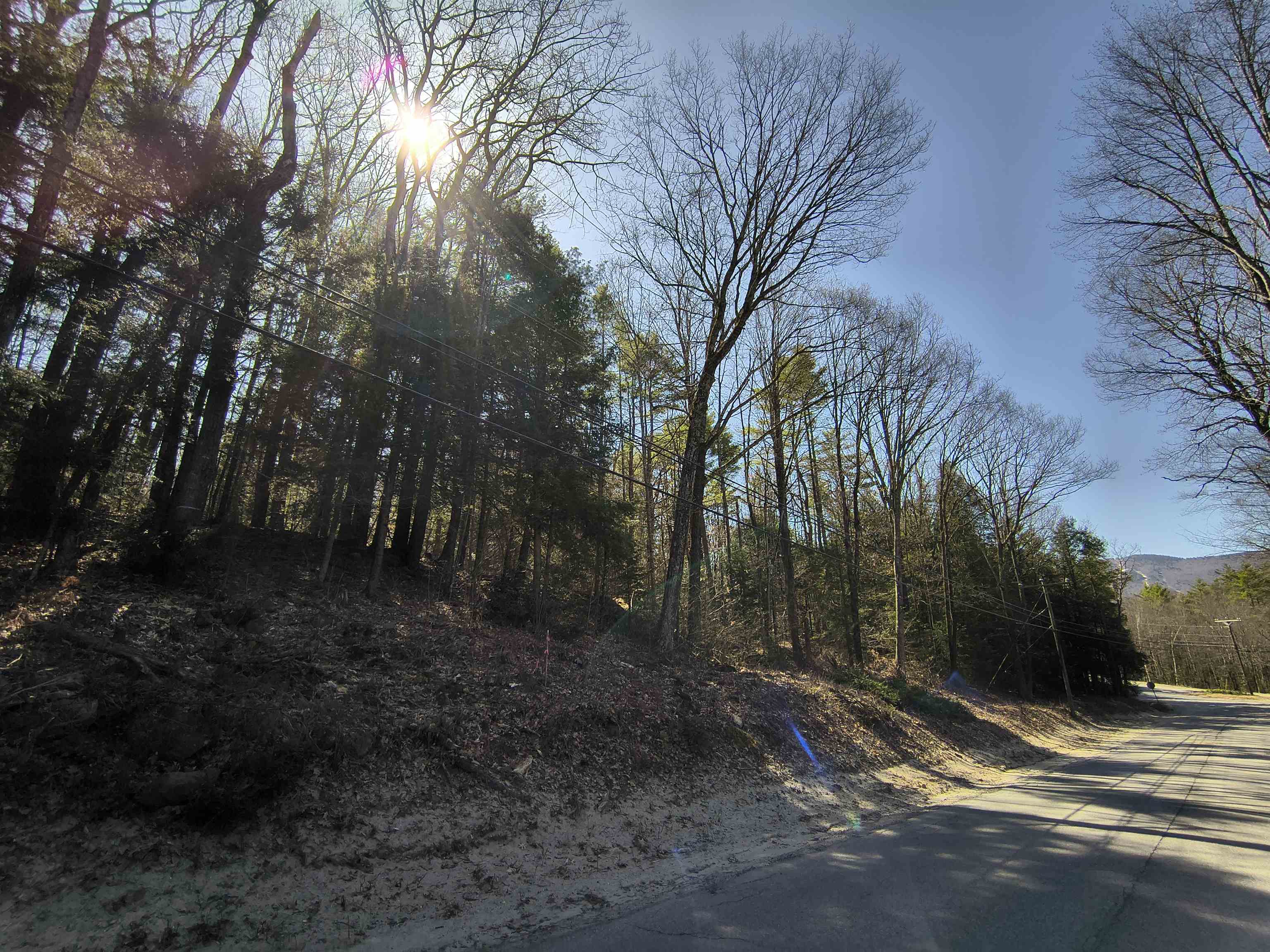 0 Littlefield Road Danbury, NH 03230 - Photo 3 of 15