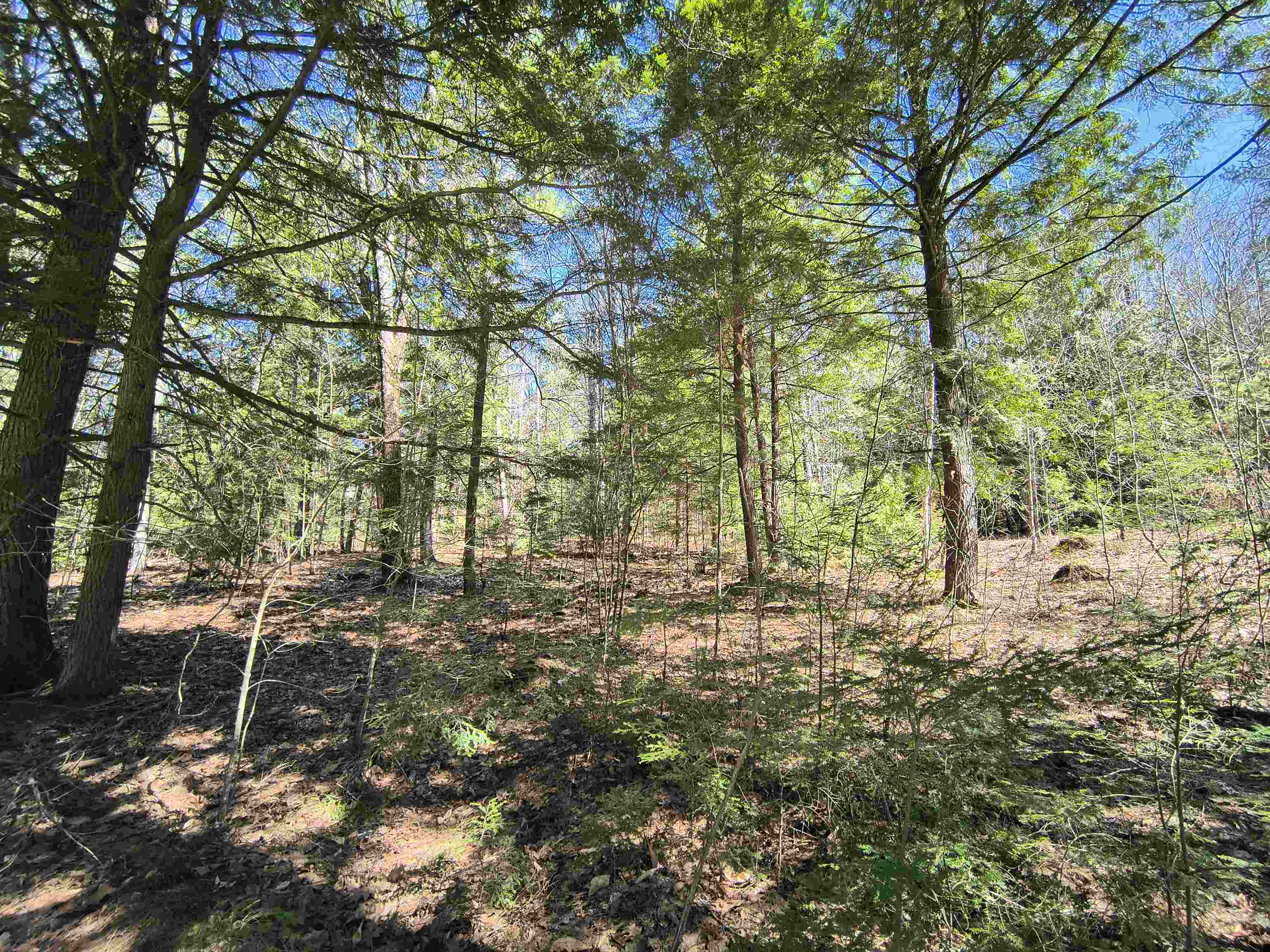 0 Littlefield Road Danbury, NH 03230 - Photo 5 of 15