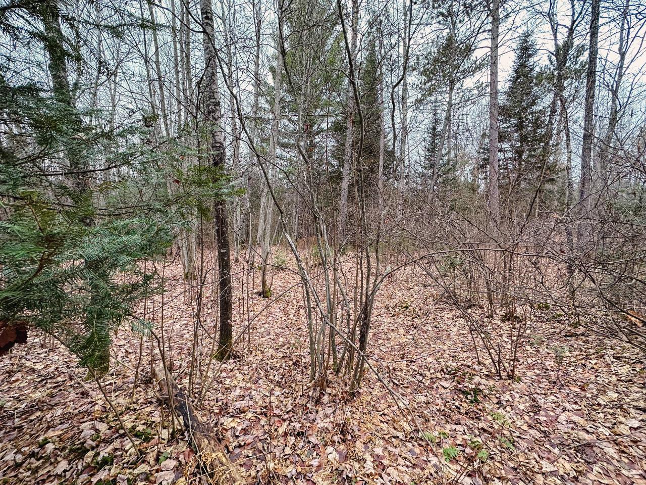 On Loon Lake Road, Unit LOT 6 Eagle River, WI 54521 - Photo 5 of 22 Gallery Image 5