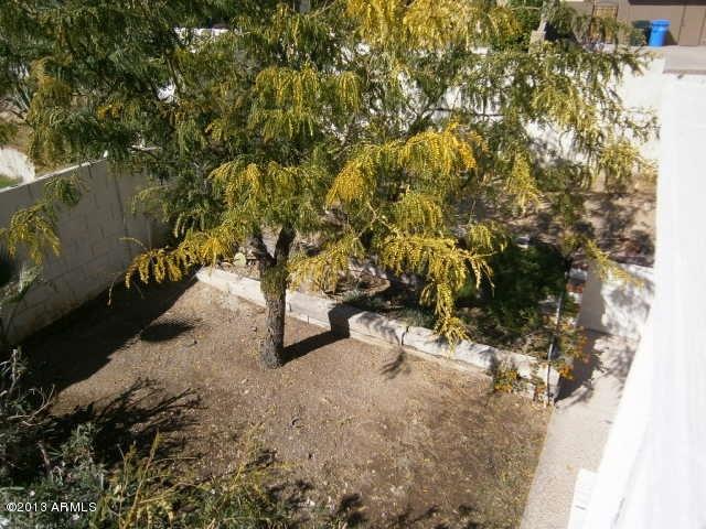 4556 East Corral Road Phoenix, AZ 85044 - Photo 36 of 37 Back yard tree