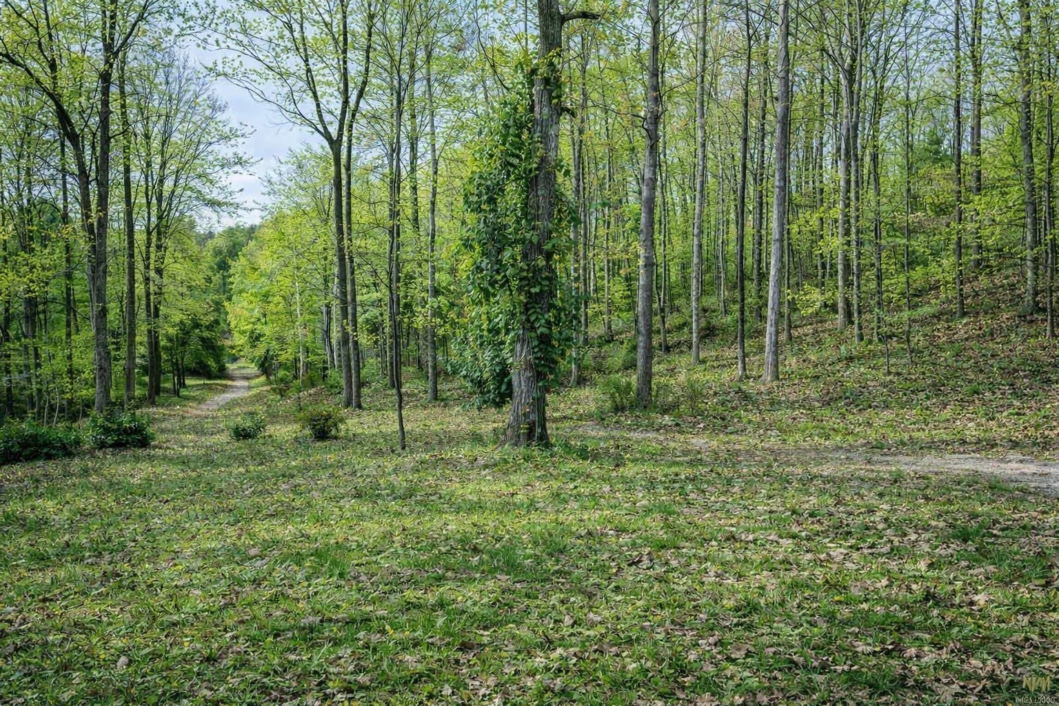 1135 West Mink Branch Road Waynesboro, TN 38485 - Photo 45 of 83