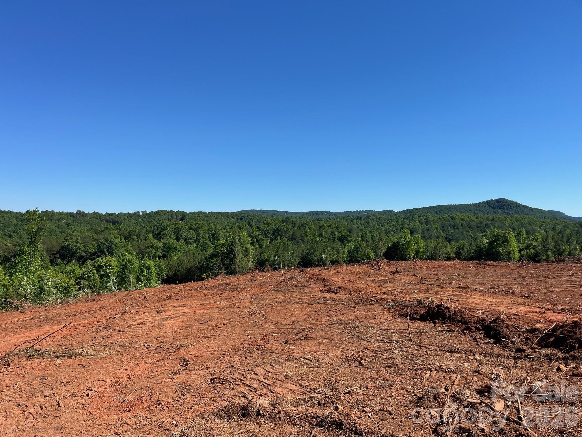 Tbd Vein Mountain Road, Unit 20 Nebo, NC 28761 - Photo 12 of 17