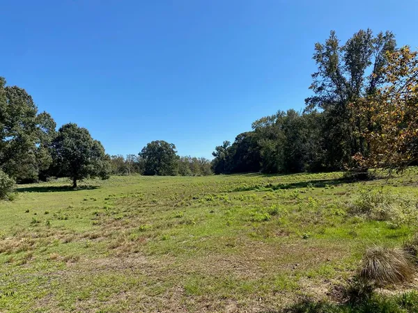 $139,999 | 007 County Road 242, Oakwood, TX 75855