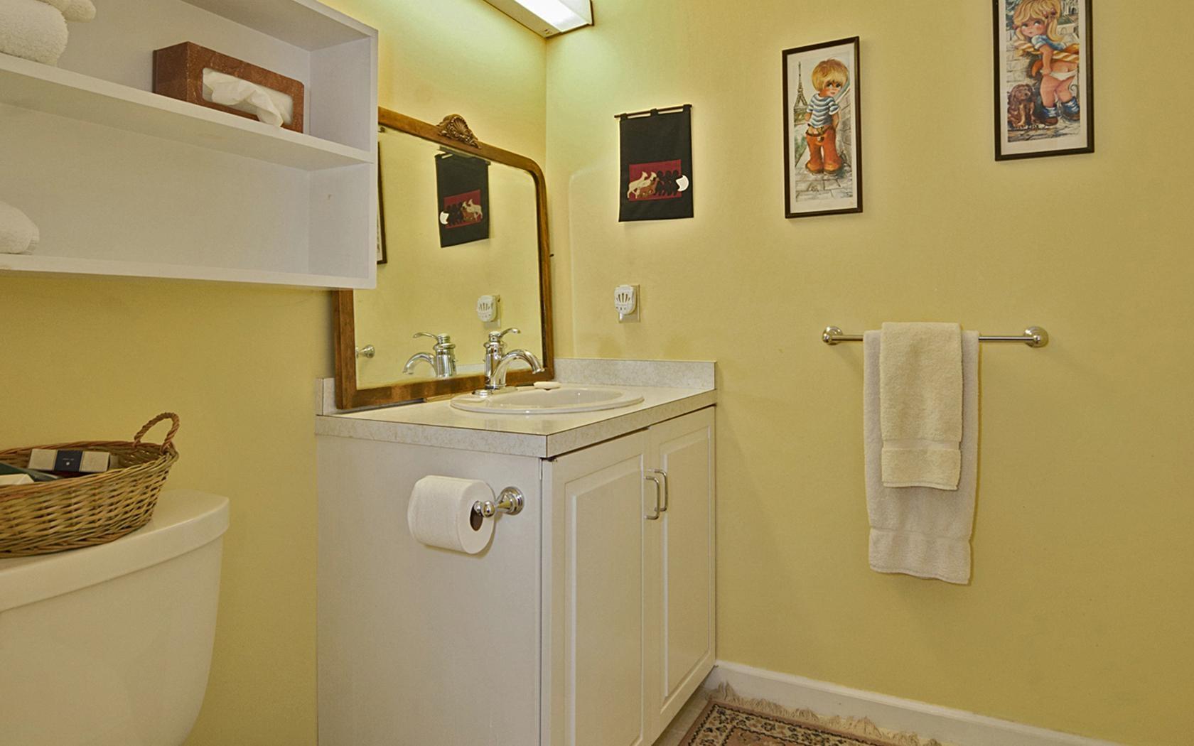 25 Timber Top Trail Wilton, CT 06897 - Photo 15 of 25 a bathroom with a sink and a mirror