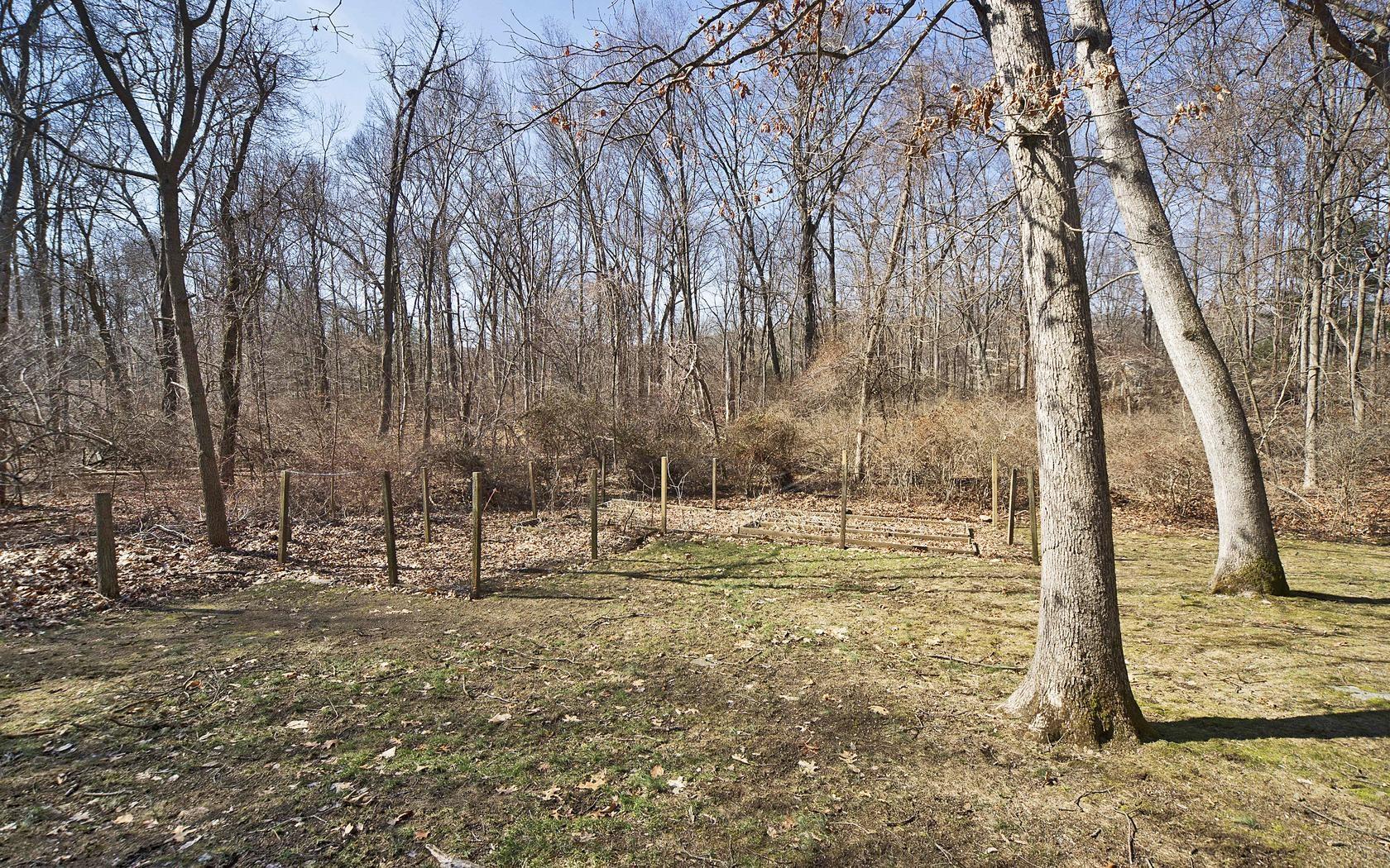 25 Timber Top Trail Wilton, CT 06897 - Photo 22 of 25 a view of a yard with large trees