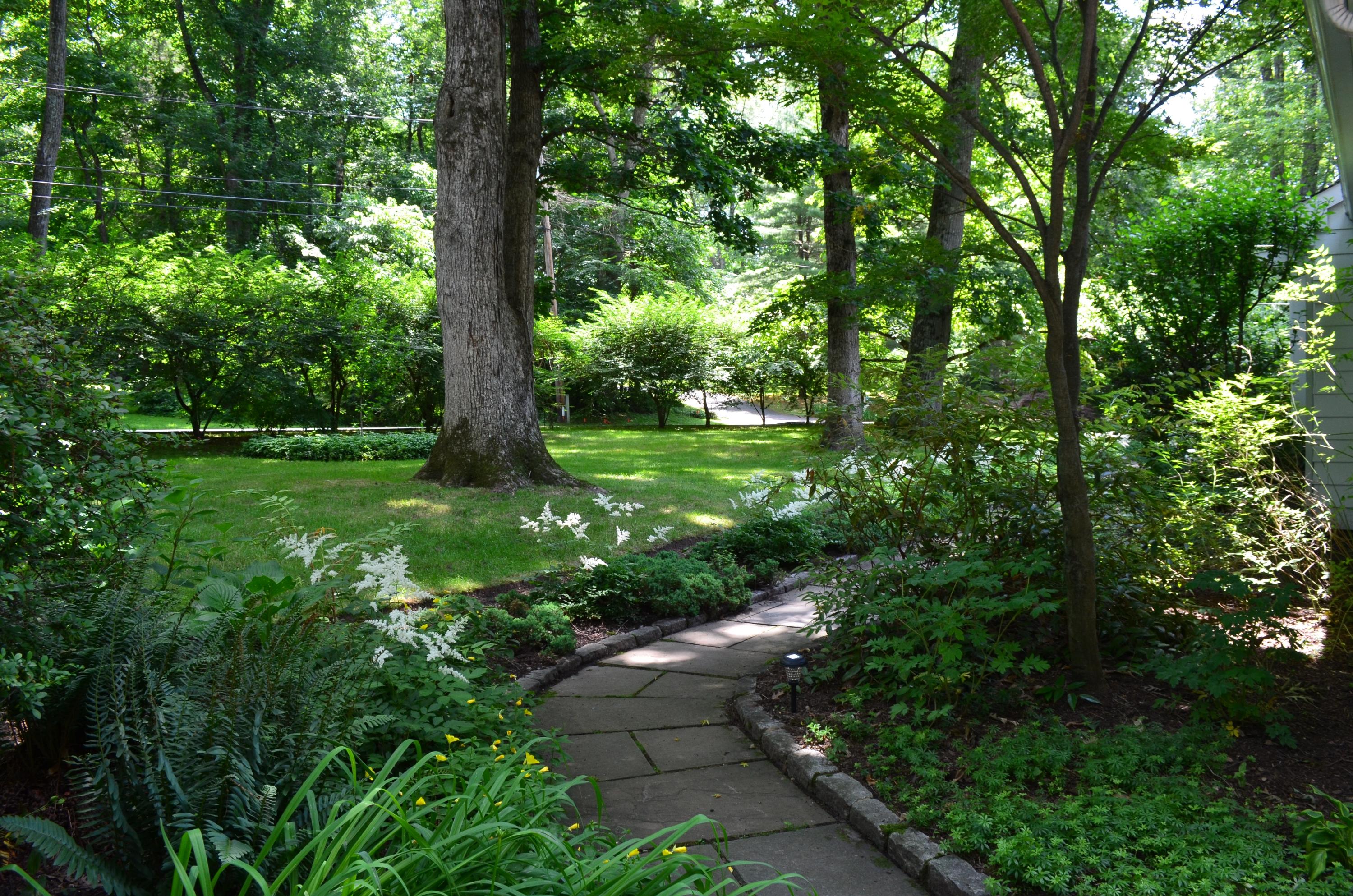 25 Timber Top Trail Wilton, CT 06897 - Photo 25 of 25 a view of a garden with plants