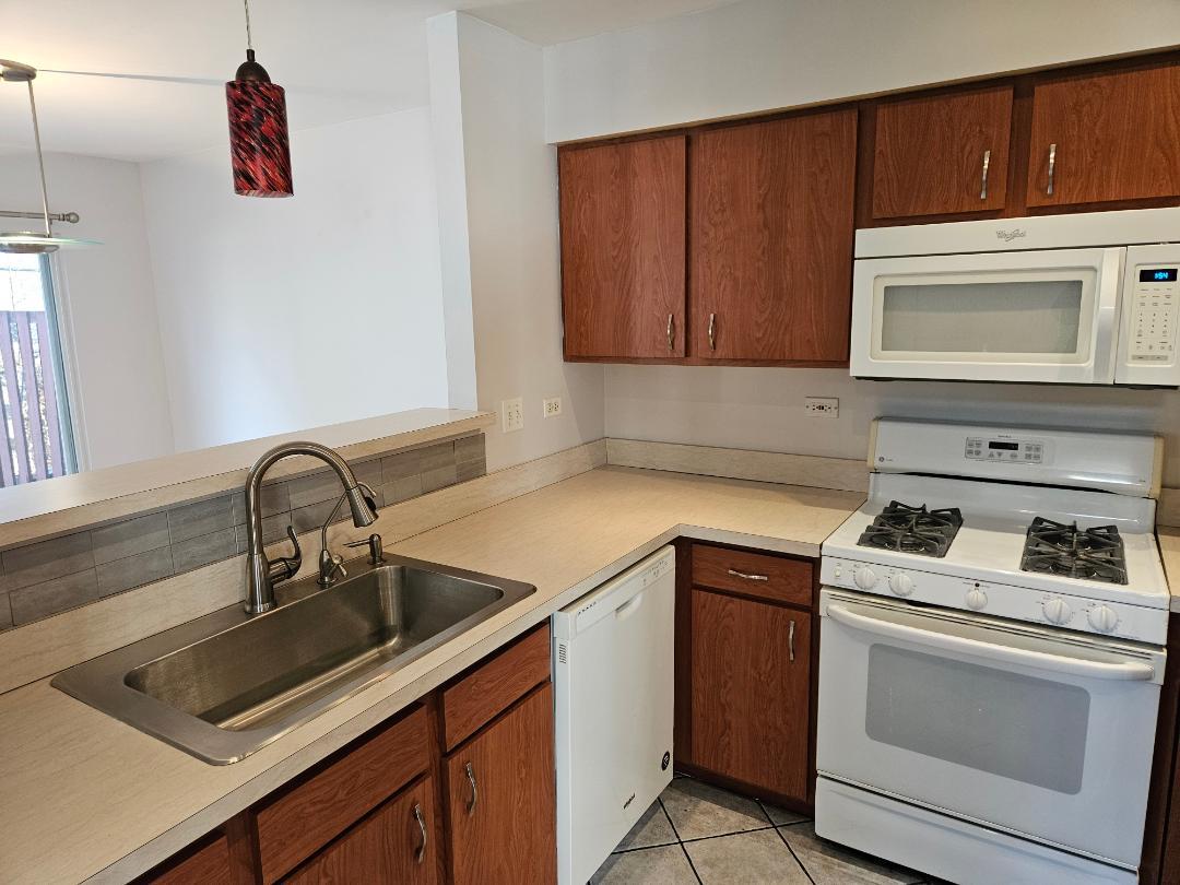 10 Ronan Court, Unit 10 Lake In The Hills, IL 60156 - Photo 7 of 20 a kitchen with a sink cabinets and stainless steel appliances