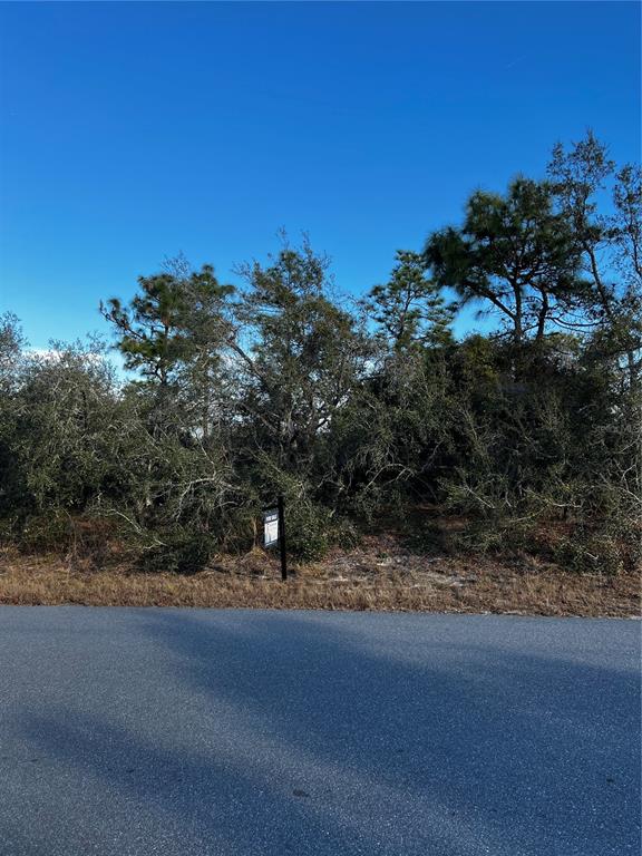 12431 Convent Garden Road Brooksville, FL 34613 - Photo 1 of 1 Gallery Image 1