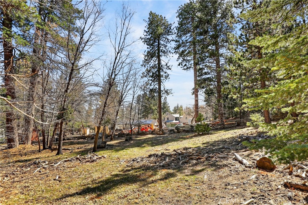 0 Cepu Road Running Springs, CA 92382 - Photo 11 of 23 a view of a snow on the side of the road