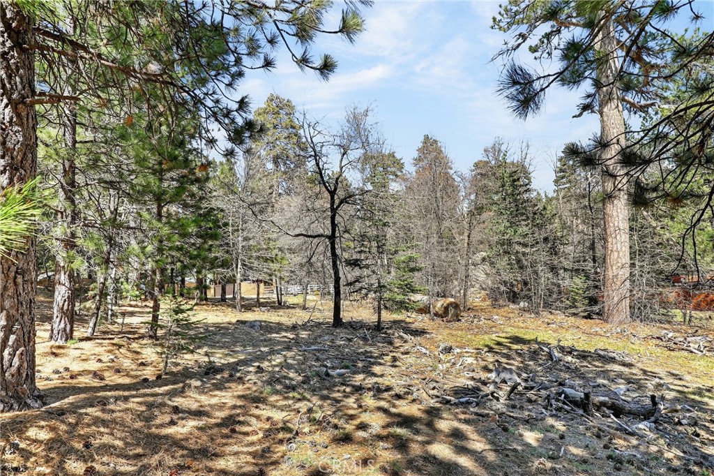 0 Cepu Road Running Springs, CA 92382 - Photo 13 of 23 a view of covered with trees