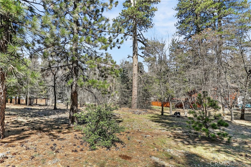 0 Cepu Road Running Springs, CA 92382 - Photo 16 of 23 a view of outdoor space with trees
