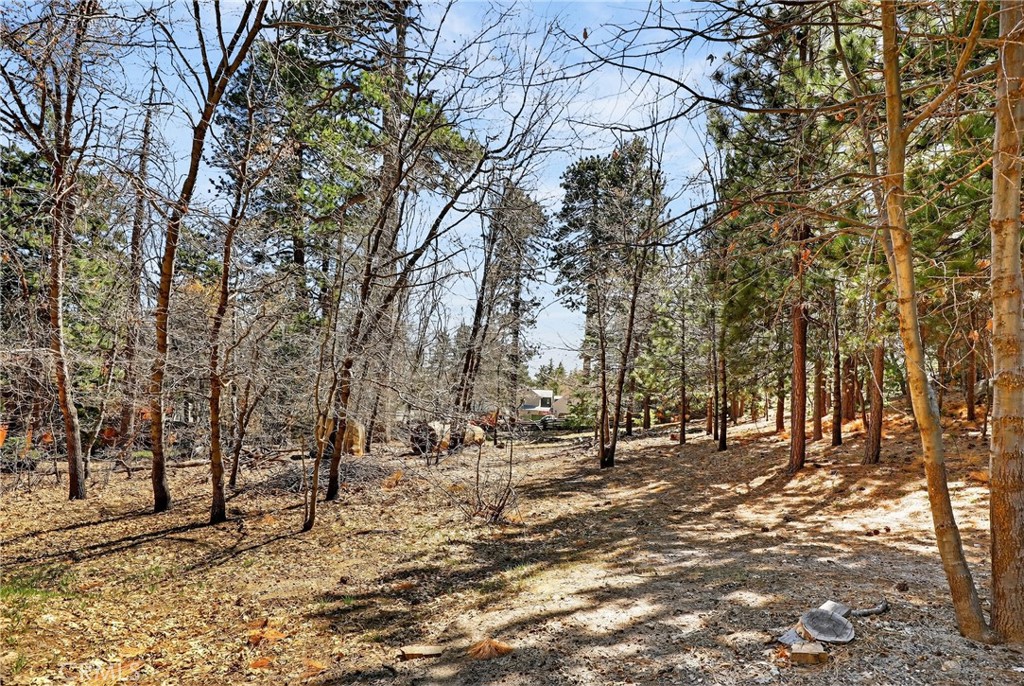 0 Cepu Road Running Springs, CA 92382 - Photo 17 of 23 a view of outdoor space with trees