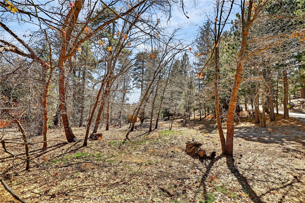 0 Cepu Road Running Springs, CA 92382 - Photo 18 of 23 a view of a forest with trees