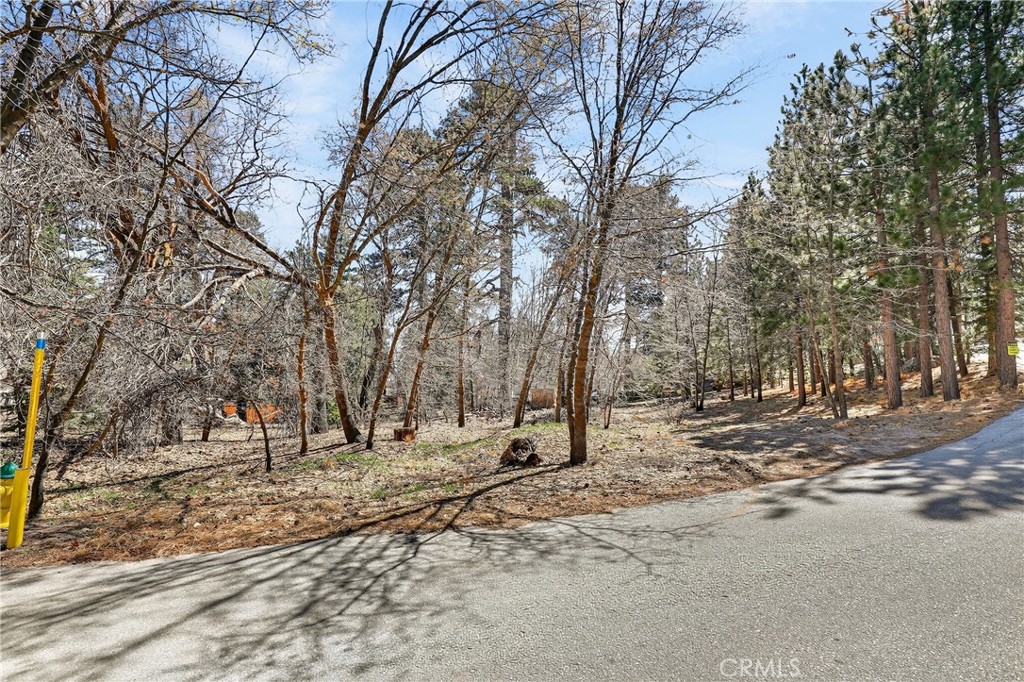 0 Cepu Road Running Springs, CA 92382 - Photo 20 of 23 a view of covered with snow on the road