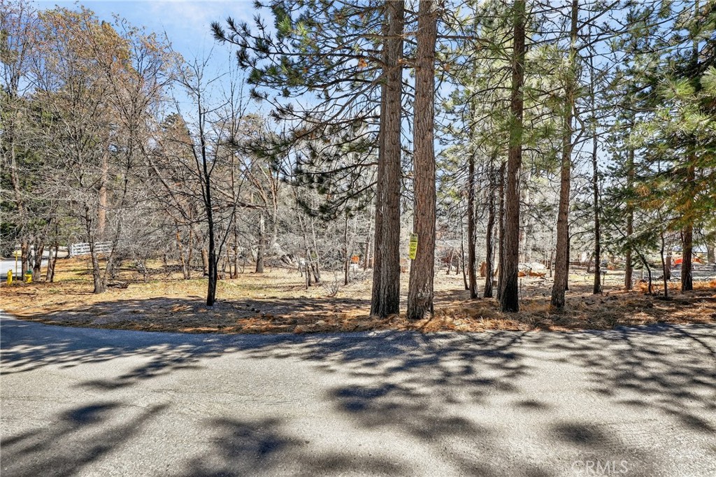 0 Cepu Road Running Springs, CA 92382 - Photo 22 of 23 a backyard of a house with lots of trees