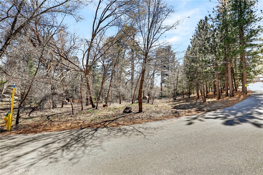 0 Cepu Road Running Springs, CA 92382 - Photo 23 of 23