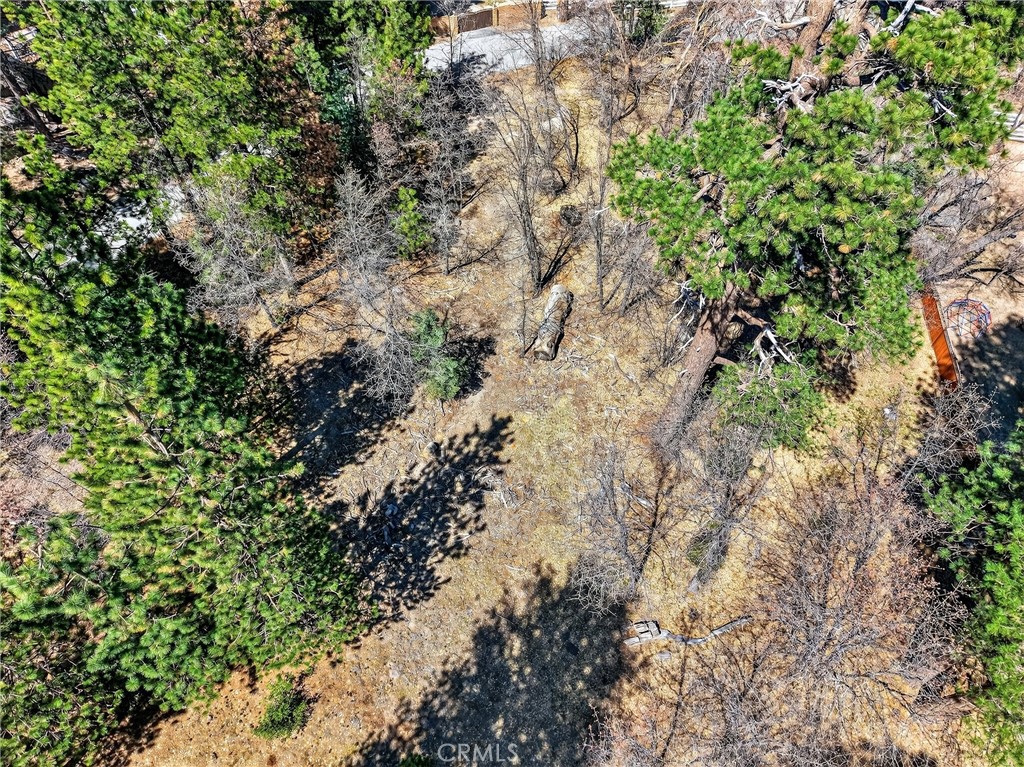 0 Cepu Road Running Springs, CA 92382 - Photo 3 of 23 a view of a yard with plants and trees