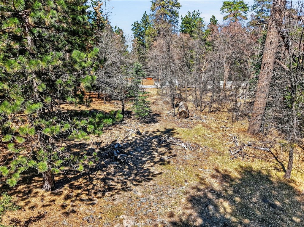 0 Cepu Road Running Springs, CA 92382 - Photo 5 of 23 a view of a yard with plants and trees