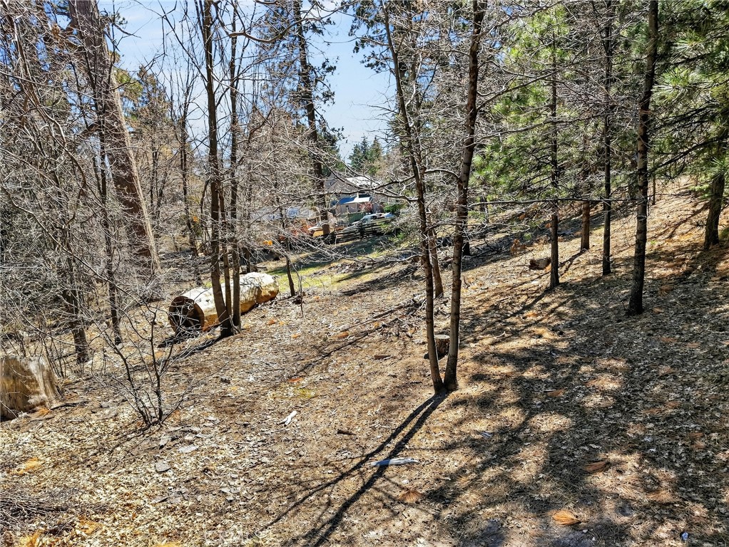 0 Cepu Road Running Springs, CA 92382 - Photo 6 of 23 a view of a yard with trees