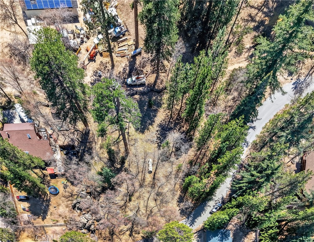 0 Cepu Road Running Springs, CA 92382 - Photo 9 of 23 a view of tree