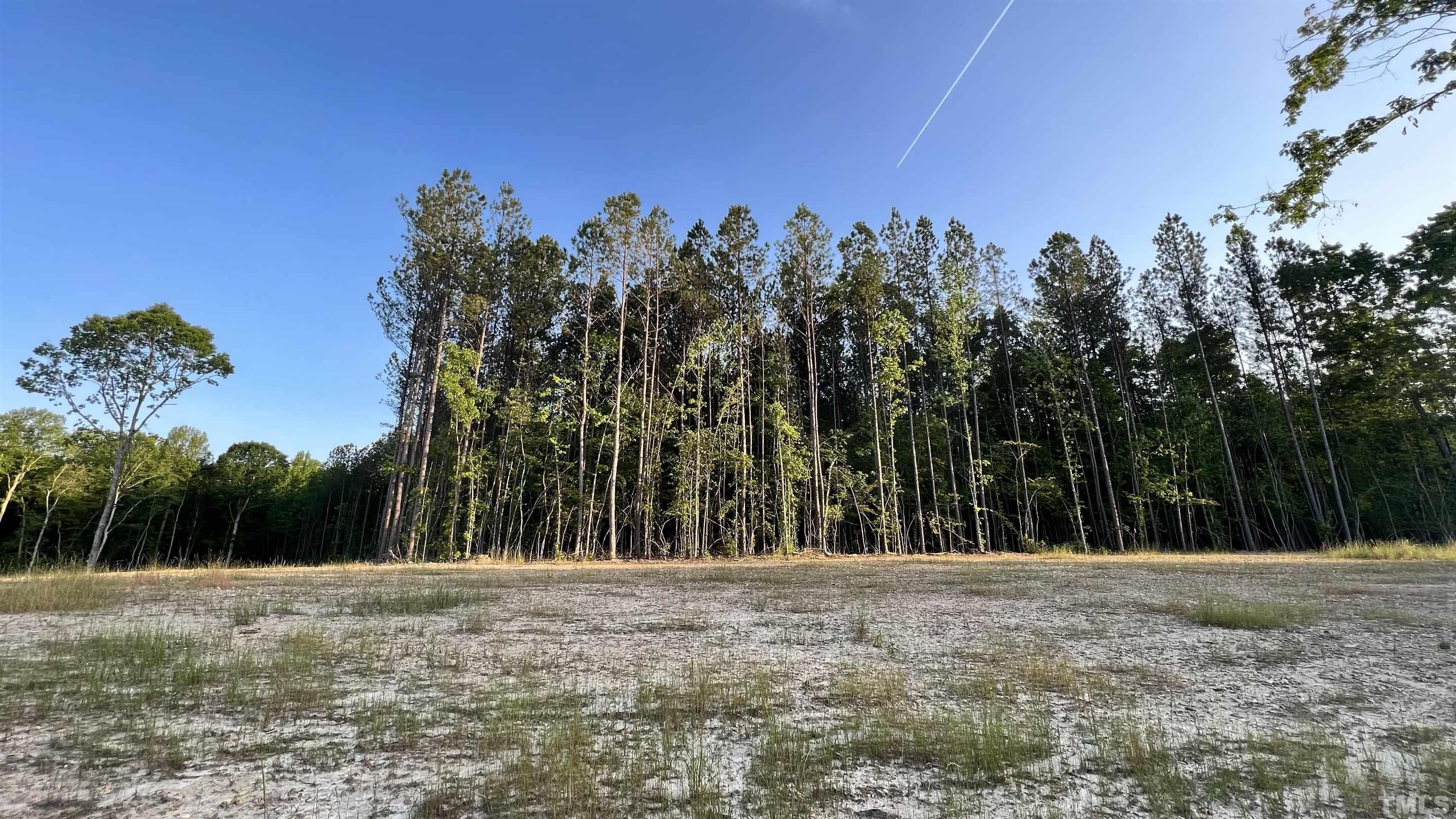 230 Bealy Farm Road Zebulon, NC 27597 - Photo 11 of 11 a view of a yard