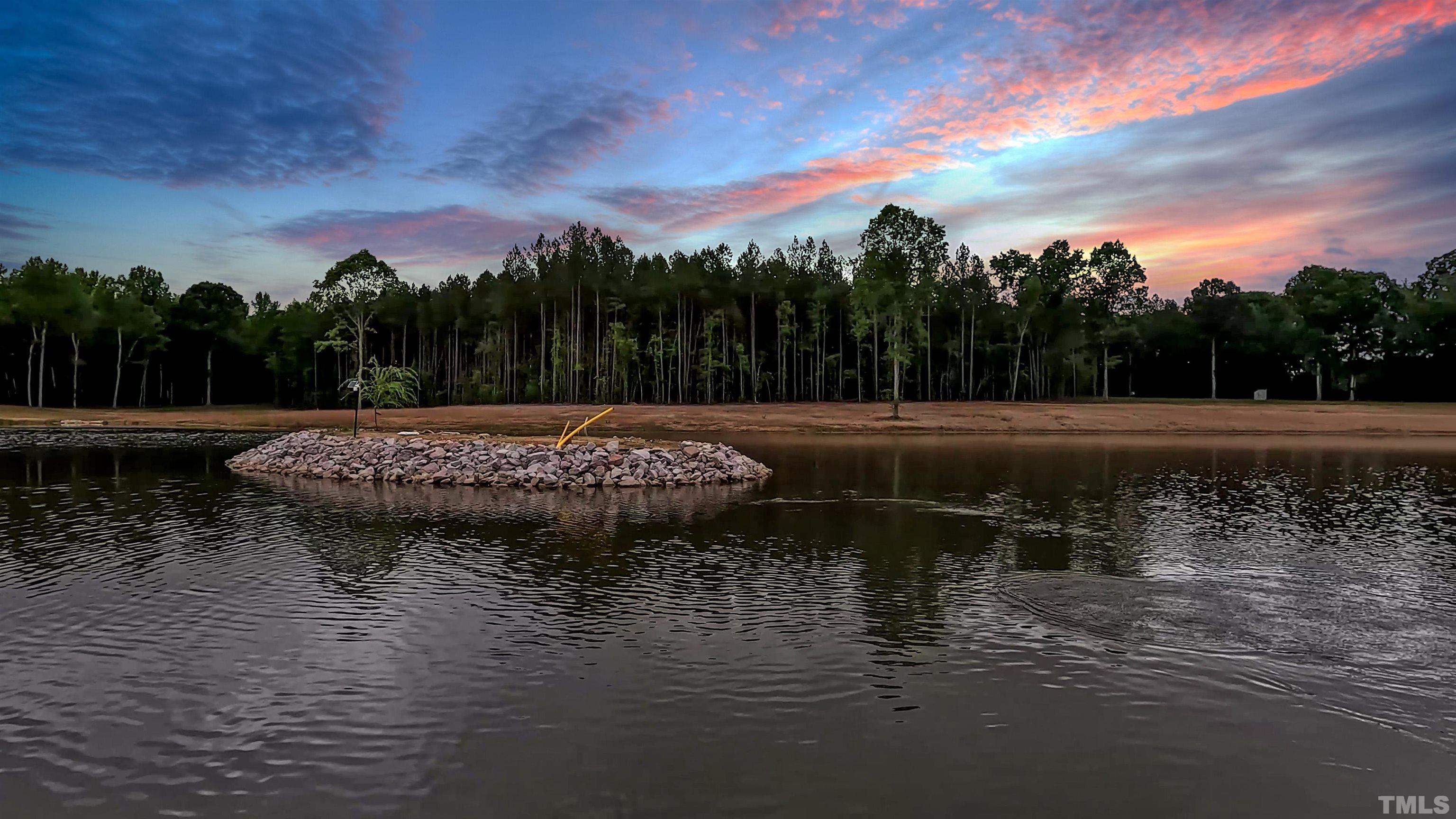 230 Bealy Farm Road Zebulon, NC 27597 - Photo 3 of 11 a view of swimming pool with a yard and lake view in back